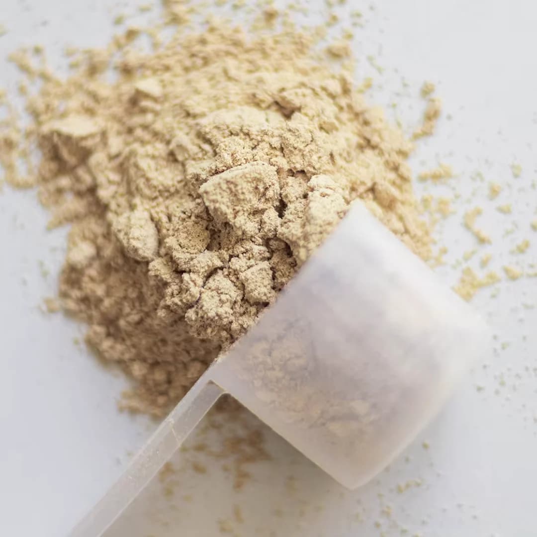Easy to Digest Protein Powder with 24g Protein and No Bloating